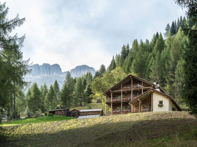 imgi_247_1.Copia-di-20190917_411-2-1240x775