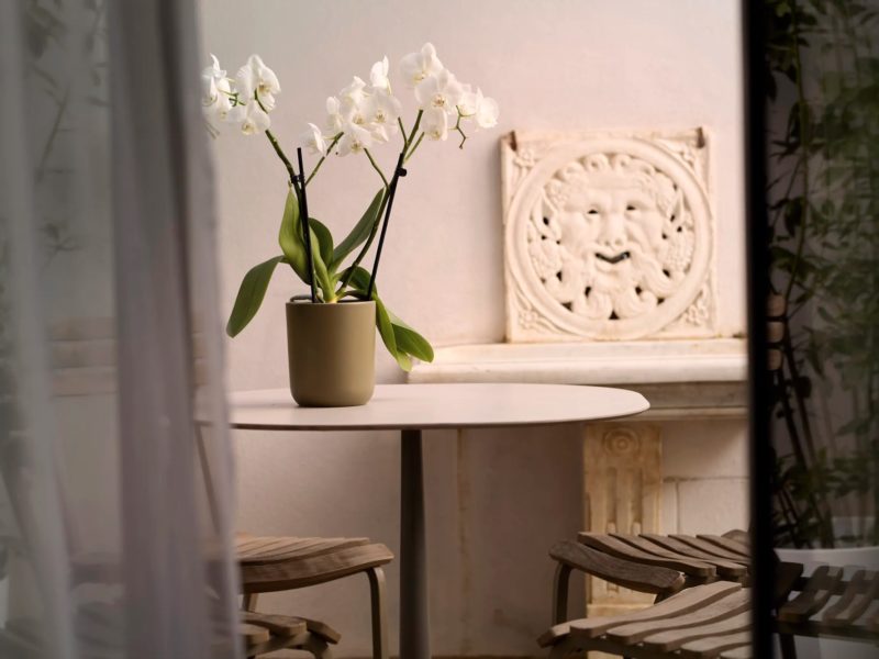 imgi_54_PDP_2D_MG_9438_web