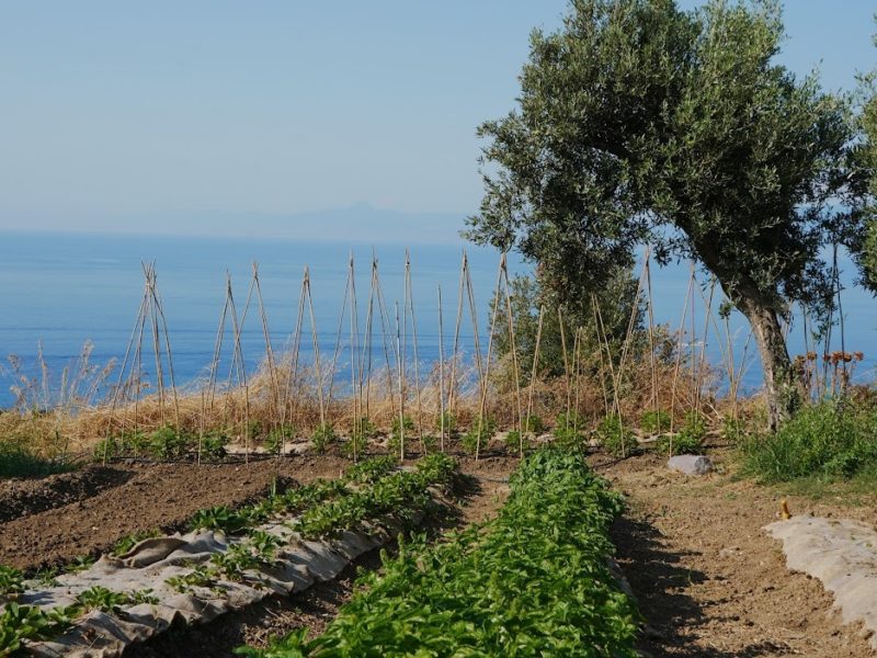 imgi_16_1pohSrXsexMCRiltQZlDw-KoWxQTkQdmV=w2182-h1664-iv1