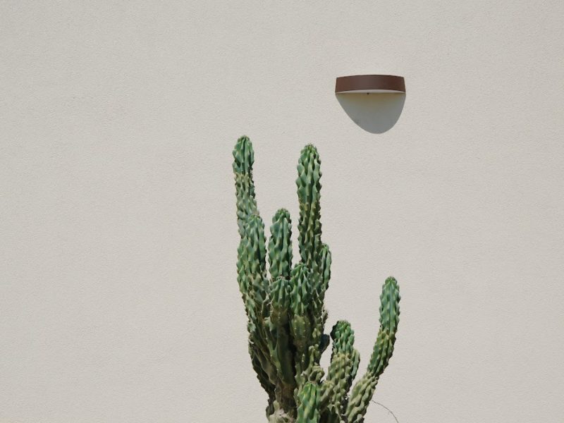 imgi_27_1CWgpjPCCM5ARrrIW_kpPDp1yIrqBvgaY=w2182-h1664-iv1