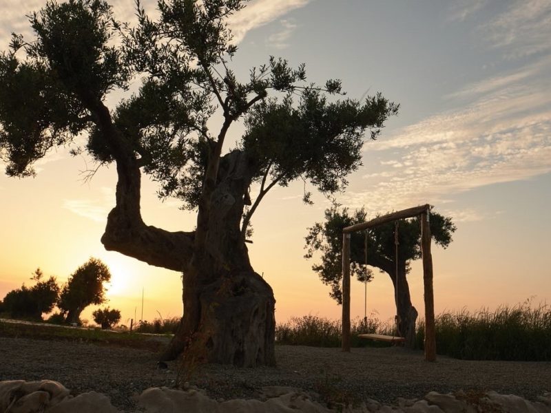 imgi_36_1hmCs_kJEfUHHnWiXcTkiN58mhFUo0wfy=w2940-h1664-iv1